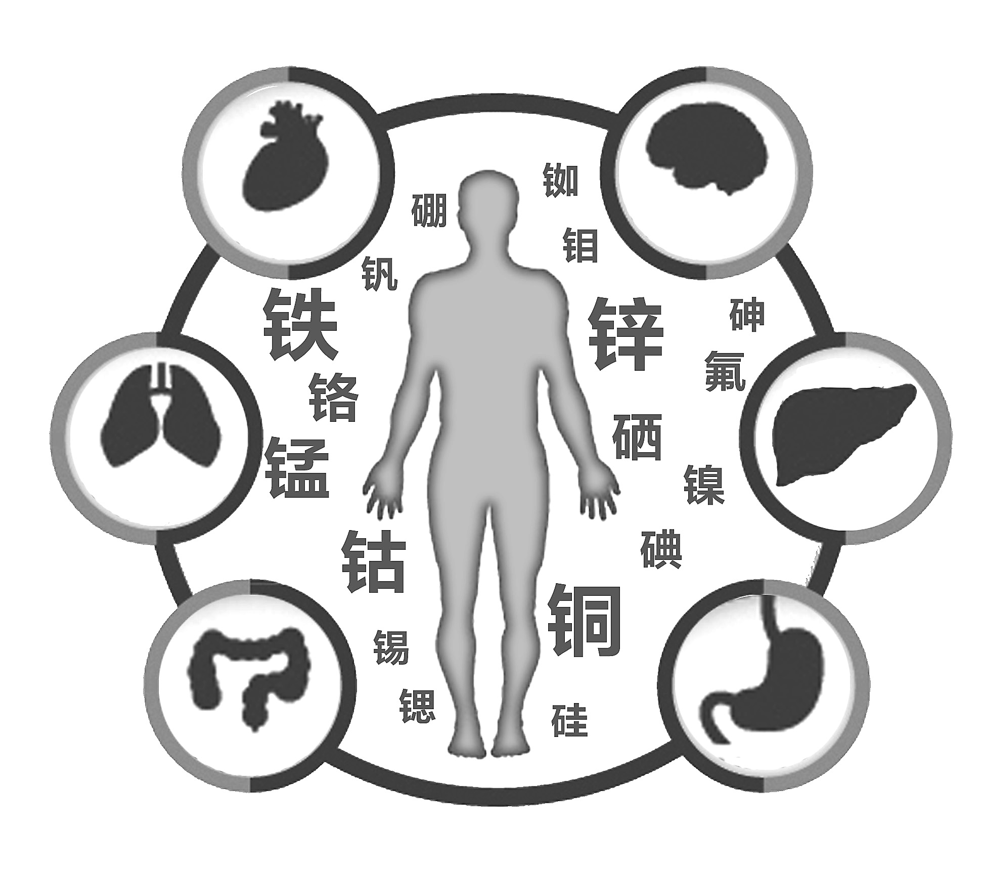 91麻豆国产福利在线观看检查有必要吗