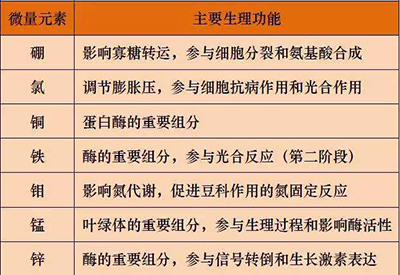 全自动麻豆视频在线网站厂家微量元素的对人体的生理作用 全自动麻豆视频在线网站厂家微量元素的对人体的生理作用