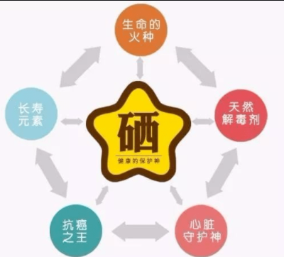 素分析仪,医用91麻豆国产福利在线观看,人体微