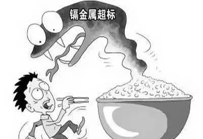 2020/1/4-全自动麻豆视频在线网站-国康-镉元素对人体的作用有哪些 2020/1/4-全自动麻豆视频在线网站-国康-镉元素对人体的作用有哪些